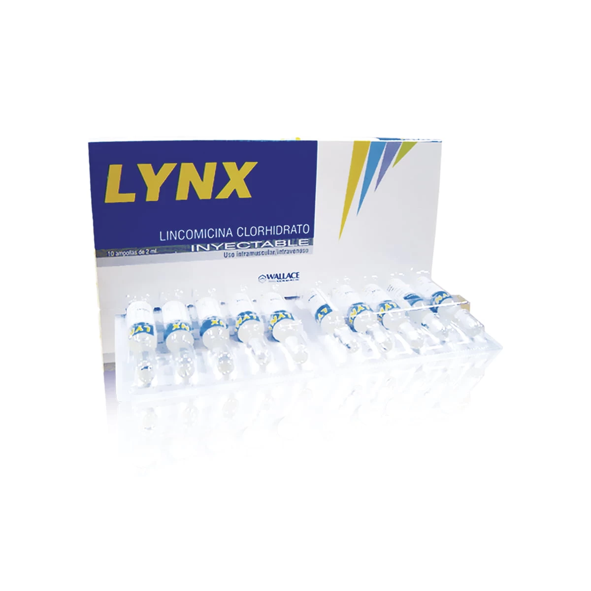 LYNX 600 X 10 AMP
